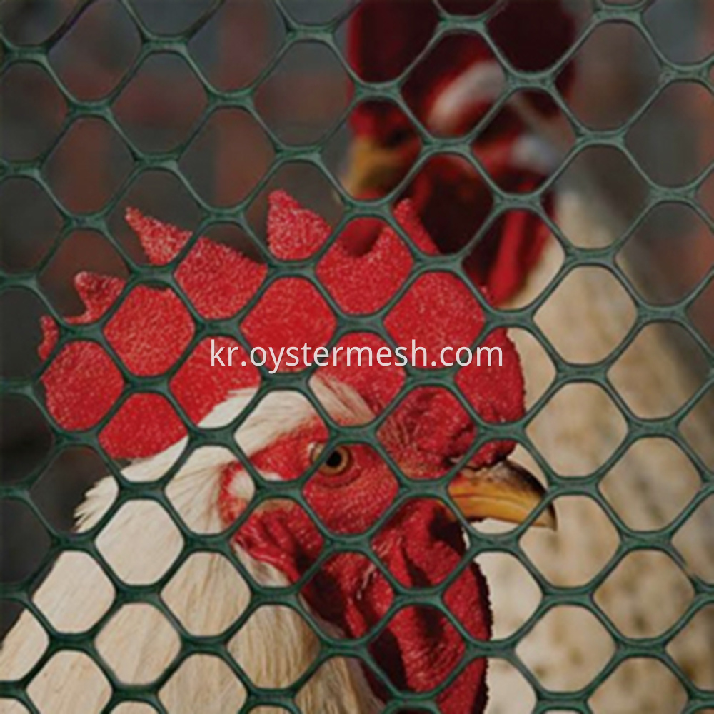 치킨 와이어 울타리 Chicken Wire Fence